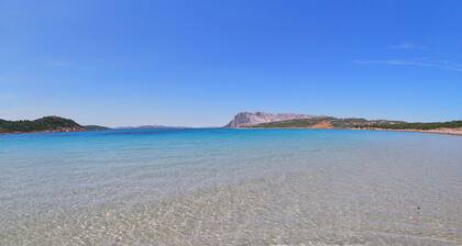 Curated cottage within walking distance of the sea