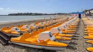 En række gule robåde står på rad og række på en stenstrand, med kig til havet og en fjerntliggende kystlinje med bygninger.