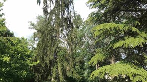 A lush garden with a variety of trees and a well-maintained lawn. - Malis Castéra Le petit château (Saint-Jean-de-Blaignac)