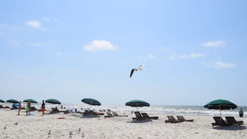 Playa en los alrededores
