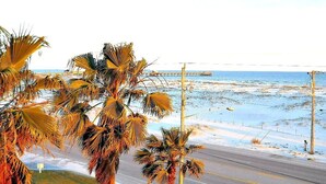 Una playa con palmeras, un muelle y una carretera.