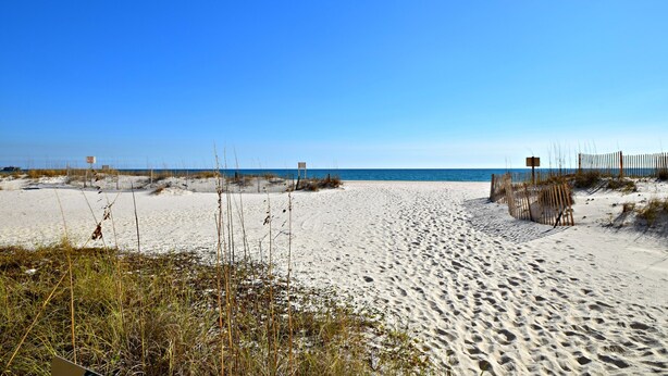 En sandstrand med en klarblå himmel och ett trästaket i förgrunden.