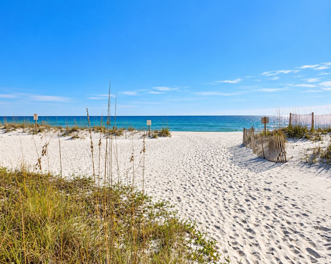 Ein sandiger Strand mit spärlicher Vegetation und blauem Himmel.