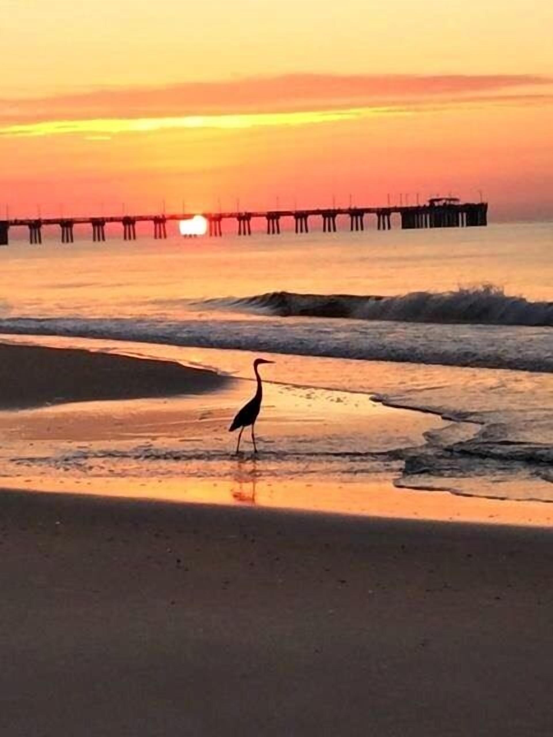 A beach scene with a pier extending into the water, a bird standing on the sand, and waves approaching the shore.