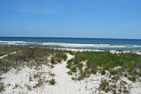 Beach nearby - Sun Dreams II (Gulf Shores)
