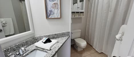 A bathroom with a granite countertop sink, a toilet, a shower curtain, and a framed fish painting on the wall.
