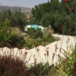 A pool surrounded by lush greenery and flowering plants. - Luxury Holiday Villa with private swimming pool amidst 300 olive trees (Ronda)