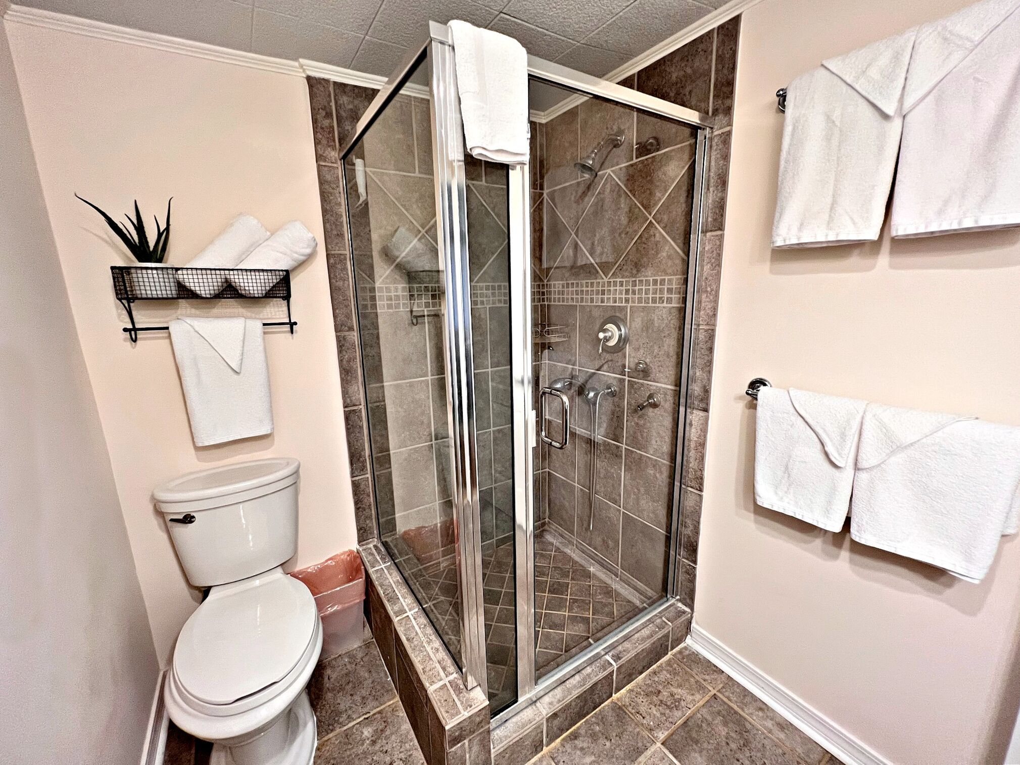 A bathroom with a glass-enclosed shower, a toilet, and a towel rack with multiple towels.