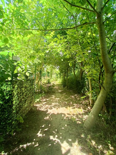 CAMPEMENT PRIVATISÉ AMÉNAGÉ EN PLEINE NATURE PRÈS DU ZOO DE BEAUVAL