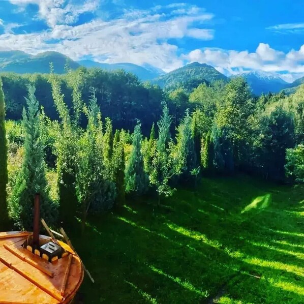 Property grounds - Vila Roberta Breaza Brasov Transylvania (Breaza)