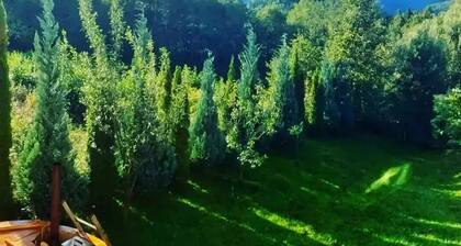 Vila Roberta Breaza Brasov Transylvania