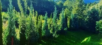 Vila Roberta Breaza Brasov Transylvania