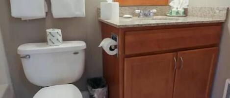 Asciugacapelli, asciugamani, sapone, shampoo