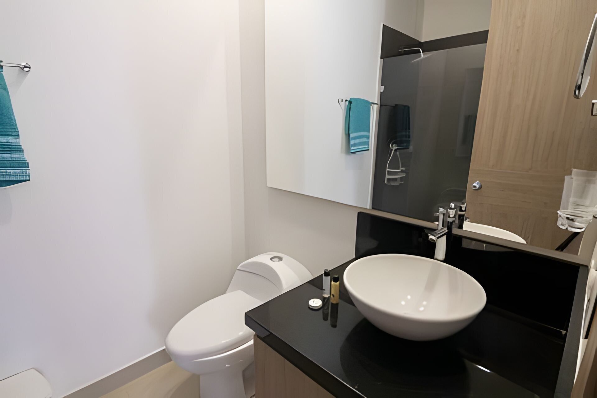 Een moderne badkamer met een wit toilet, een zwarte aanrecht met een witte wasbak en een spiegel boven de wasbak.
