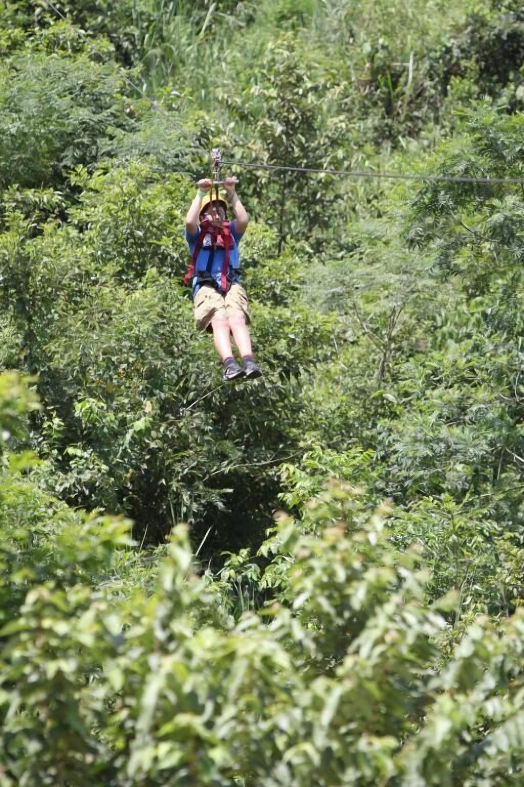 Una persona deslizándose en tirolesa a través de un bosque frondoso y verde.