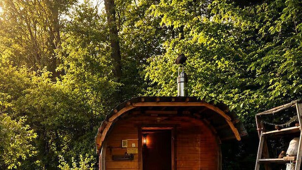 A wooden cabin with a fire pit and metal chairs in a forest setting. - Seegut Blaue Blume (Boitzenburger Land)