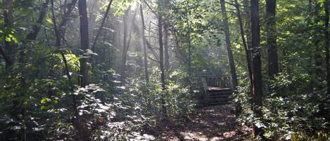 Overnattingsstedets uteområder