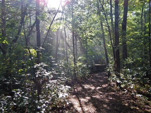 Two Bedroom Tiny Home in the heart of the Ozark Wilderness