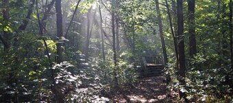 Two Bedroom Tiny Home in the heart of the Ozark Wilderness
