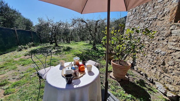 Una mesa al aire libre con mantel, una planta en maceta y una copa de vino.