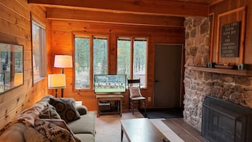 TV connectée, cheminée, lecteur de DVD, livres