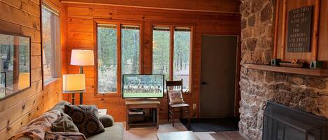 Smart TV, fireplace, DVD player, books
