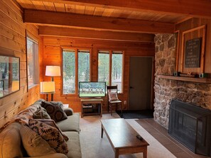 Smart TV, fireplace, DVD player, books