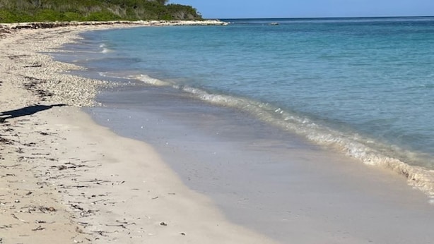 A beach with clear turquoise water, sandy shore, and some vegetation in the background.
