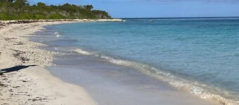 1 Bedroom Condo by the Sea in Montego Bay