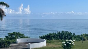 A circular water feature surrounded by greenery and a clear view of the sea.