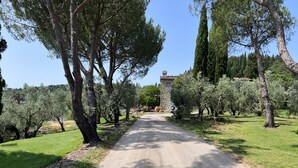 A gravel path flanked by olive trees and a stone building in the distance. - Villa Peramonda (Toscana)