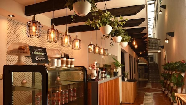 Un interior moderno con plantas colgantes, un expositor de vidrio con bebidas y un mostrador de recepción de madera.
