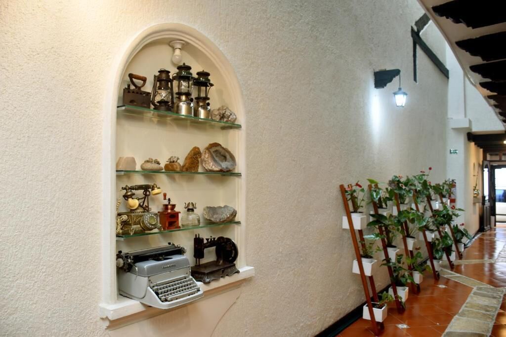 A narrow hallway with a display of vintage items on shelves and a row of potted plants.