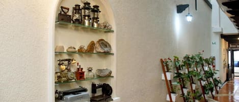 A narrow hallway with a display of vintage items on shelves and a row of potted plants.