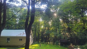 A house with a well-maintained lawn, a hammock, and a shed in a wooded area. - A short walk to a private beach for swimming boating or fishing  (Arcade)