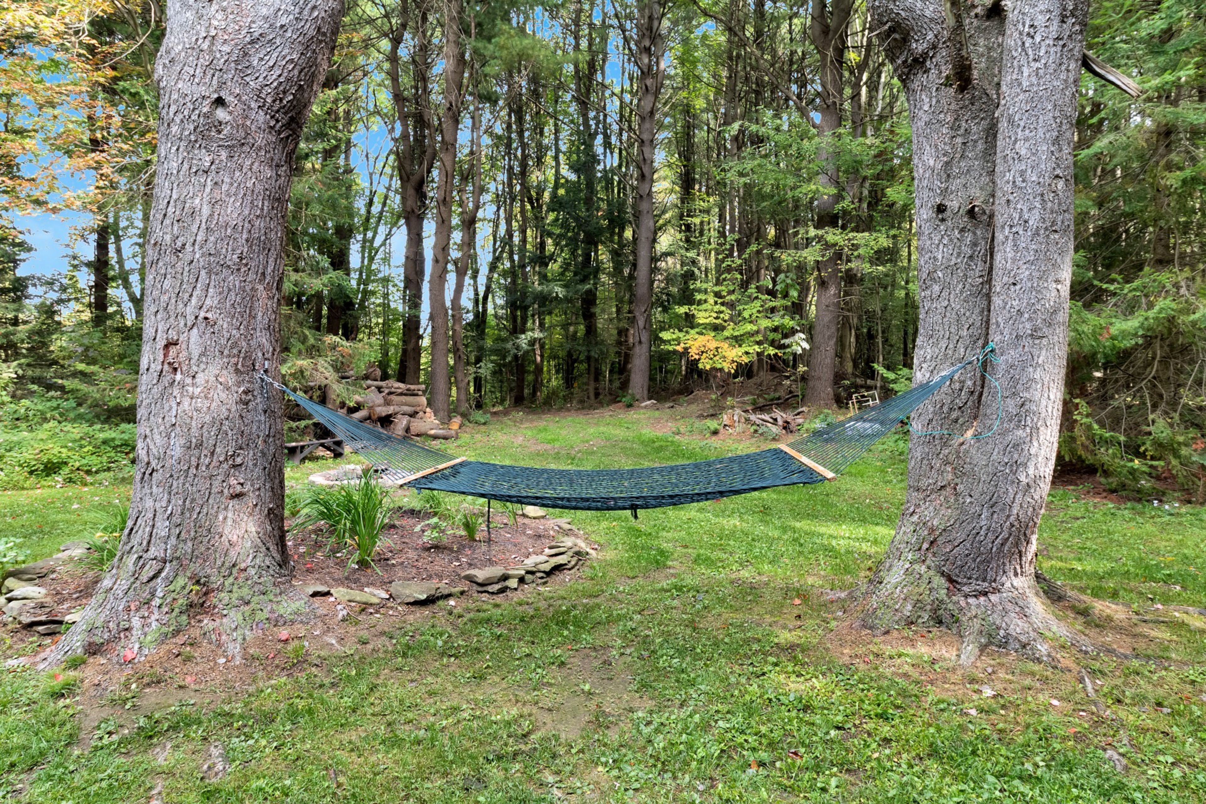 A hammock suspended between two trees in a forested area with a grassy ground.