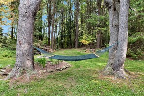 A hammock suspended between two trees in a forested area with a grassy ground.