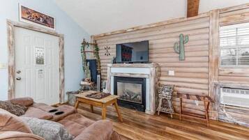 Télévision, cheminée, lecteur de DVD, livres