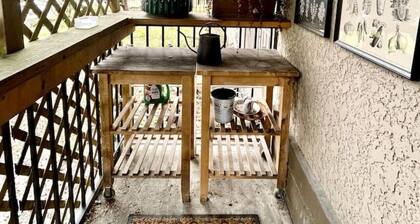 Cute & Cozy Mount Pleasant Gem near Park!