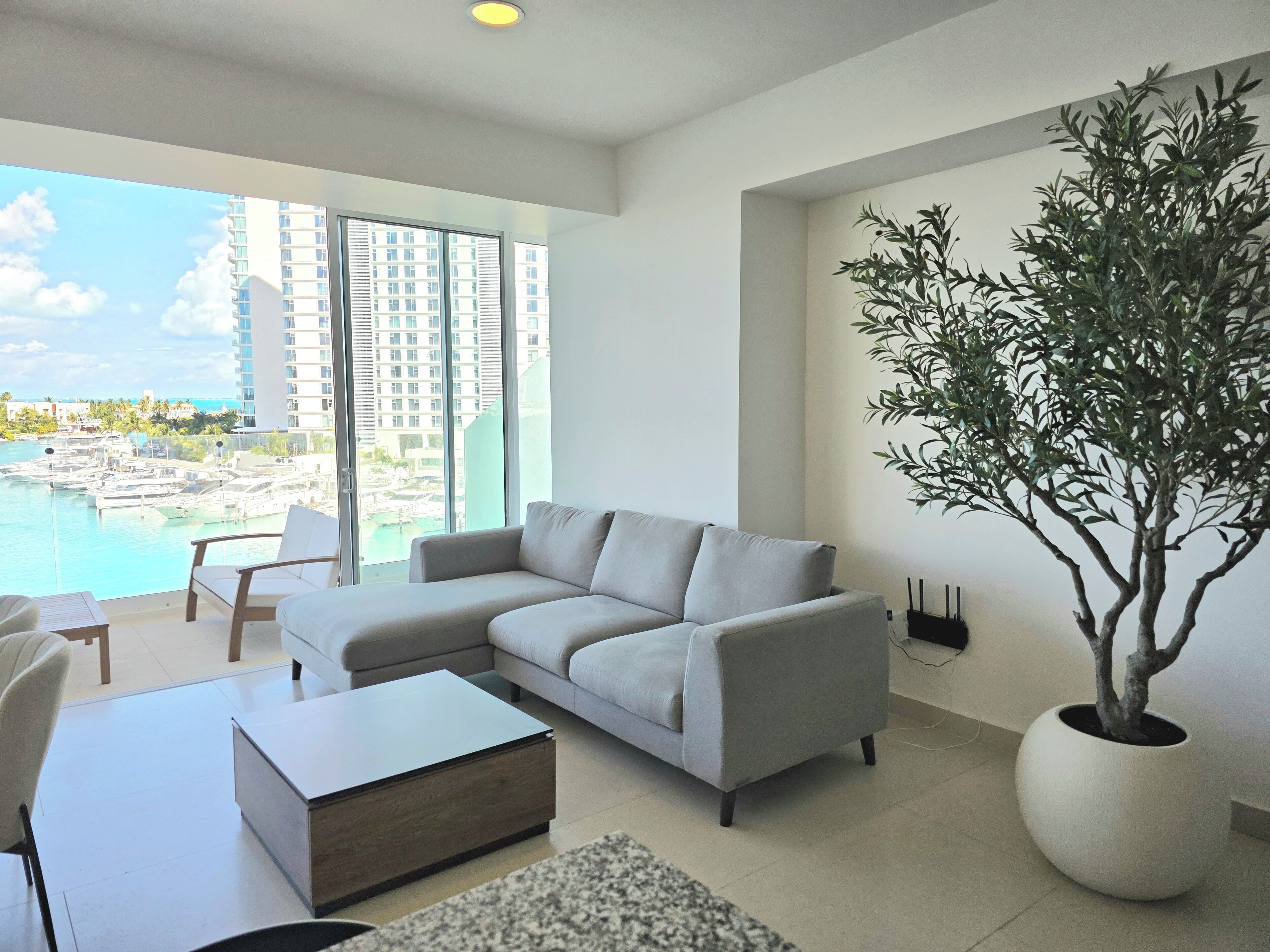 A modern living room with a grey sofa, a coffee table, and a large potted plant.