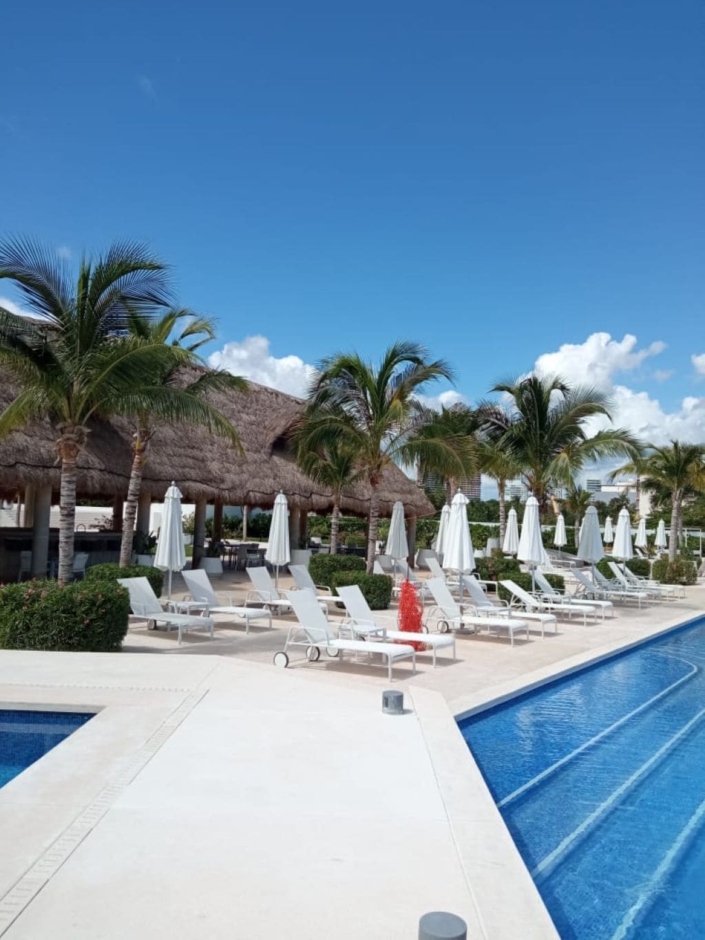 Piscine extérieure, parasols de plage, chaises longues