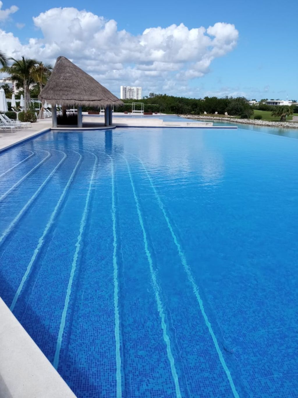 En klar blå pool med en struktur med stråtækte tage, omgivet af palmer og en klar himmel.