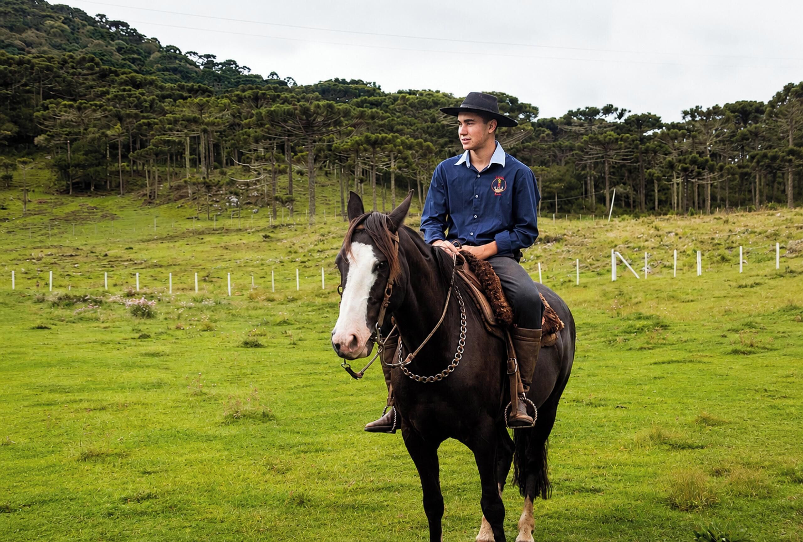 A person riding a horse in a grassy field with a fence and trees in the background.