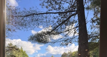 Somo River Home - Fire Pit, Dog Friendly, W&D, Kayaks, Canoe