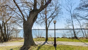 Un parc avec un grand arbre, un lampadaire et un sentier menant à un plan d’eau.