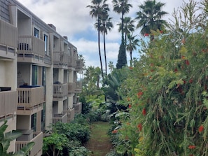 Property grounds - B213 North Coast Village (Oceanside)