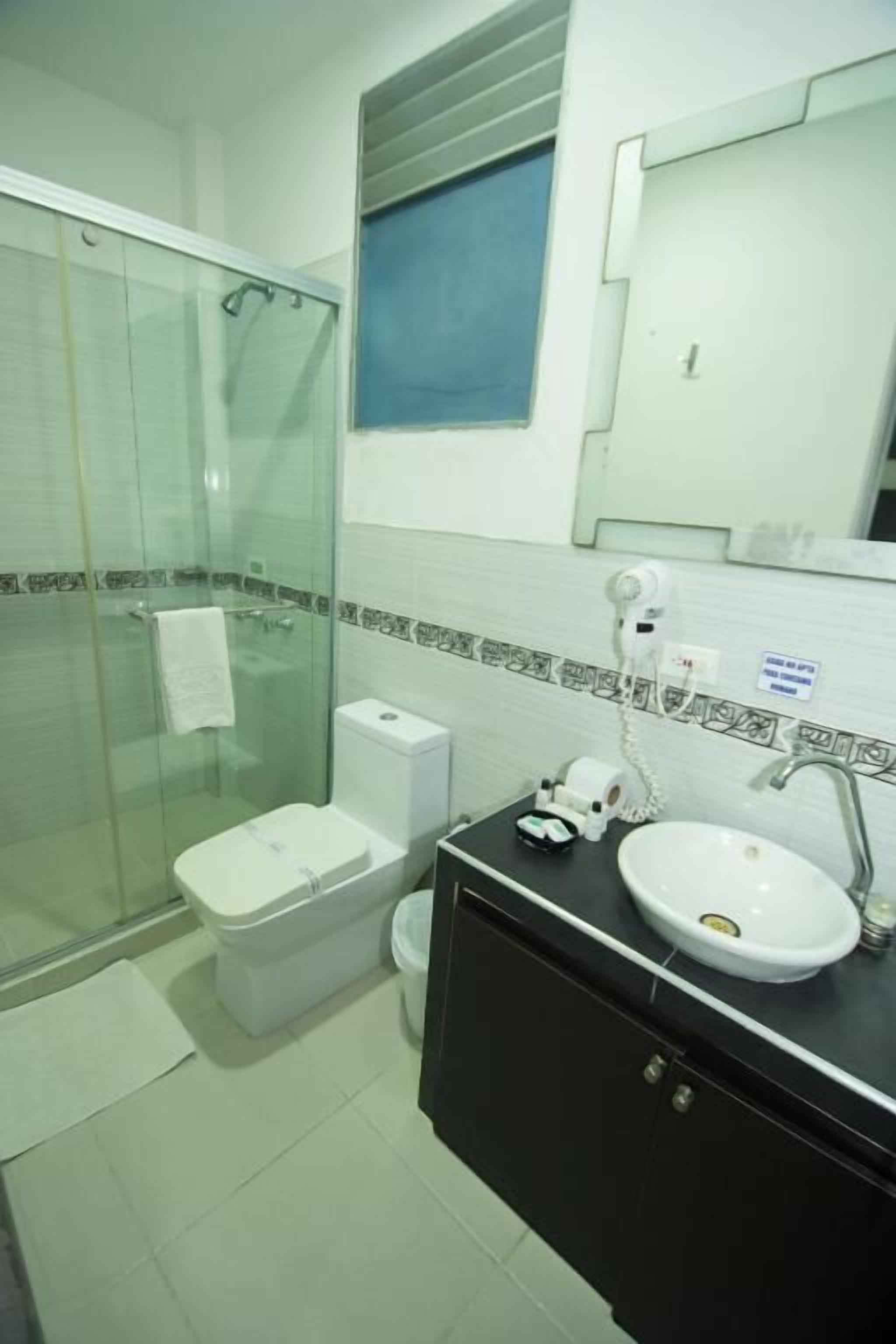 Een badkamer met een douchecabine van glas, een toilet, een wastafel en een spiegel.