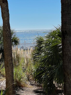 Property grounds - 657 New Haven - Resort Access Included! Ocean Views! (Saint Helena Island)