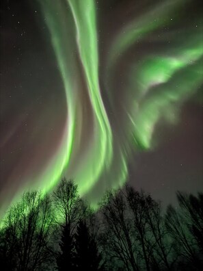 Cielo nocturno con la aurora boreal.