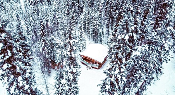 Miscellaneous - Aurora View Log Cabin – Authentic Alaskan Experience (Fairbanks)